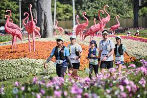 BIB: 
                            <button type="button" onclick="openModal(27794228)" class="btn btn-primary btn-sm float-right btn-popup" data-toggle="modal" data-target=".modal-high-quality">
                        <i class="fas fa-shopping-cart"></i> Add to Cart
                    </button>
                                            <button type="button" onclick="isThisMe(27794228, true)" class="btn btn-success btn-sm float-right btn-popup btn-isme hidden" data-toggle="tooltip" data-placement="bottom" title="นี่คือรูปของคุณใช่ไหม คลิกที่นี่เพื่อเอาเข้าอัลบั้ม">
                        <i class="fas fa-plus"></i> Add to album
                    </button>
                    <button type="button" onclick="isThisMe(27794228, false)" class="btn btn-warning btn-sm float-right btn-popup btn-isnotme hidden">
                        <i class="fas fa-ban"></i> Remove from album
                    </button>